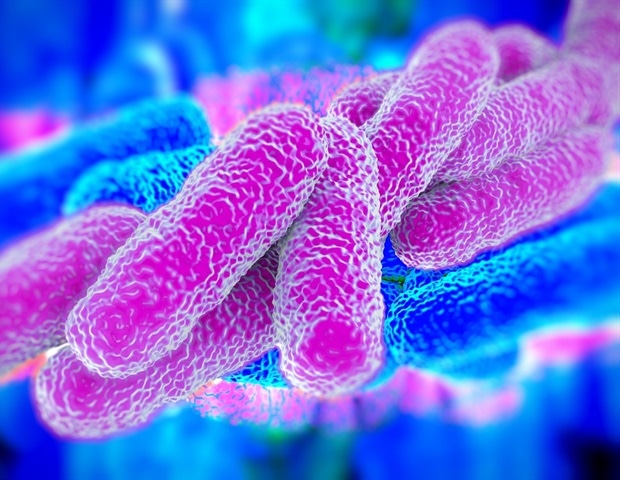 ��������������� ��������, ������������ ��� ������� ����, ����� �������� �� �������������� �������� ����������