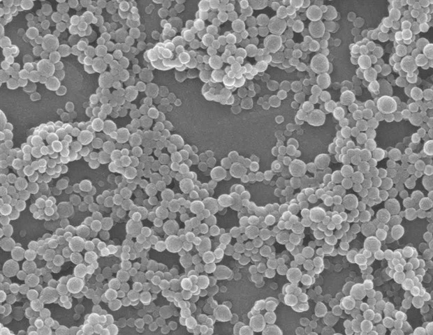 CIC biomaGUNE ������������� ����������� ��������� ����������� ��� ������� ����������� ������