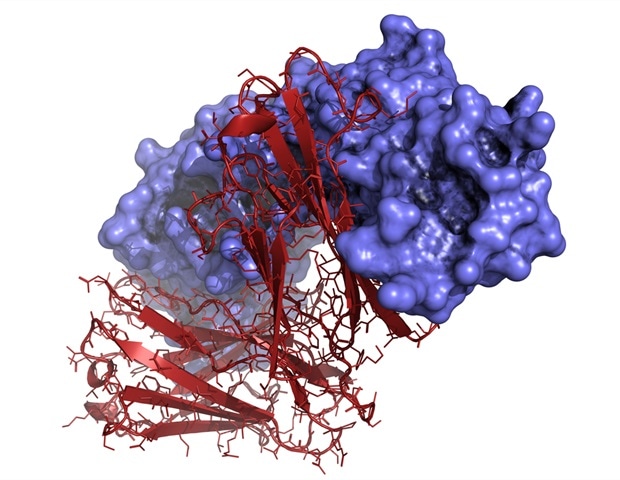 ������ ���������� ����������� �������� ���� ��� ���� ������ ������ ����