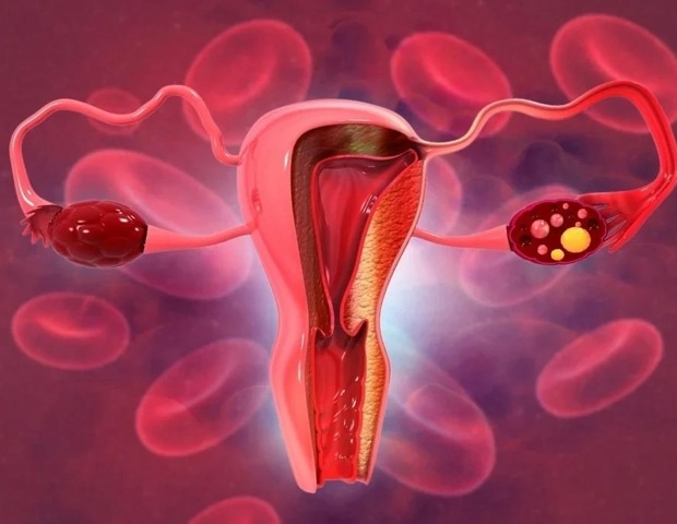 ����������� ������� ������������ ������� � ������������ ������� ����� ������� ���� ����� �����