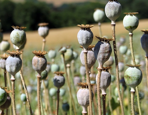 �������� ������������ ������� ������� � ������ ���������� �� ��������