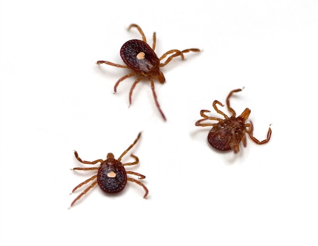 ����� ������� � �������� ������ ������� �������� �����-���� � ������� ������������ � �������������-���������������� ������������