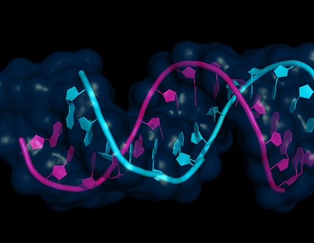 ���������� ������ ��������� ��� �������� ��� � ������� �������������� ������������