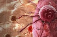 Подкожное введение тарлатамаба показало низкую токсичность в исследовании фазы 1b