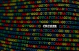 ������ ���� ������������ CRISPR-������� in vivo ��� �������������� ������������������ ����� ������� ���������